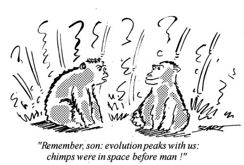 "Remember son, evolution peaks with us - chimps were in space before man!"