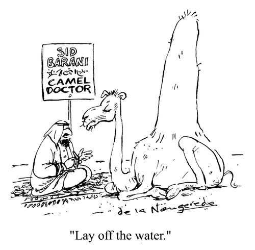 "Lay off the water."