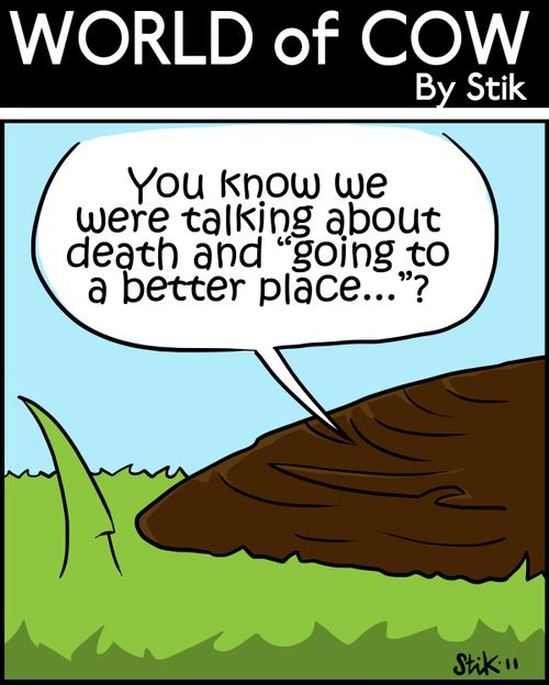 You know we were talking about death and 'going to a better place..'?