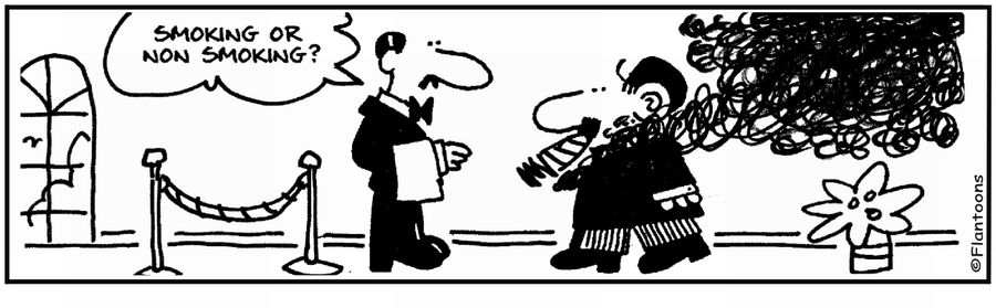  'Smoking or non smoking.' 'Huge cigar and smoke.'