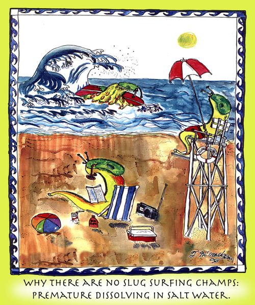 Why there are no Slug Surfing Champs: Premature Dissolving in Salt Water.