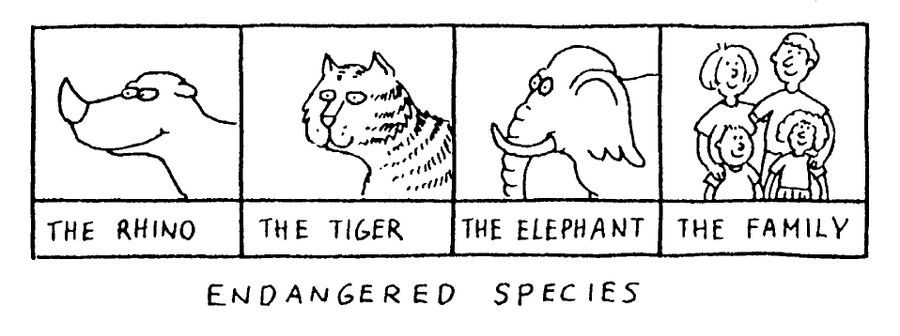 'Endangered species, Rhino,Tiger,Elephant,the family'