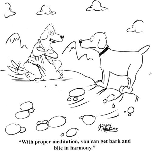 'With proper meditation, you can get bark and bite in harmony.'