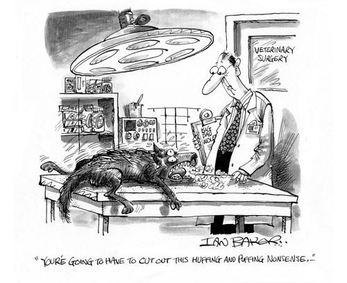 'You're going to have to cut out this huffing and puffing nonsense...'