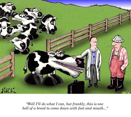 'Well, I'll do what I can, but frankly, this is one hell of a breed to come down with foot and mouth...'