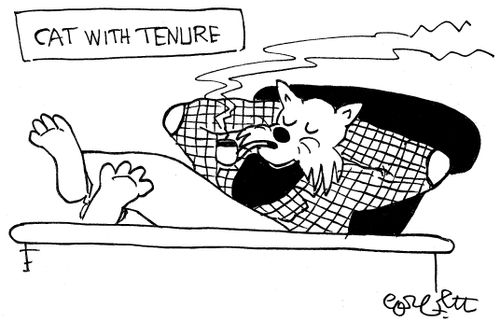 Cat with tenure.