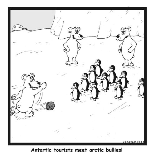 Antarctic tourists meet arctic bullies!