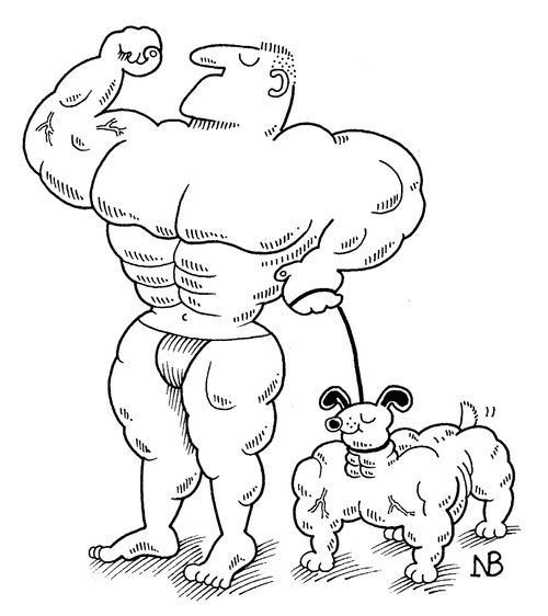 Gym Dog