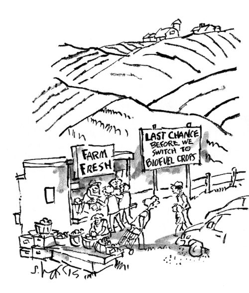 Farm Fresh - last chance before we switch to biofuel crops.