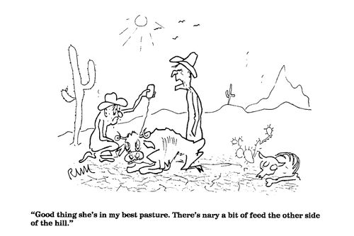 'Good thing she's in my best pasture....'