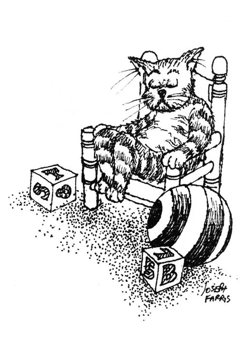 Cat Asleep in Chair.