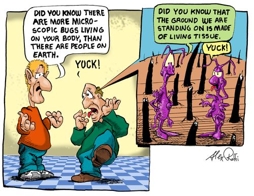 Did you know there are more microscopic bugs living on your body than there are people on earth?