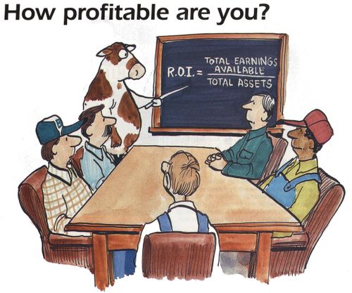 'How profitable are you?'