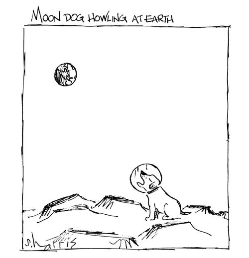 Moon Dog at earth.