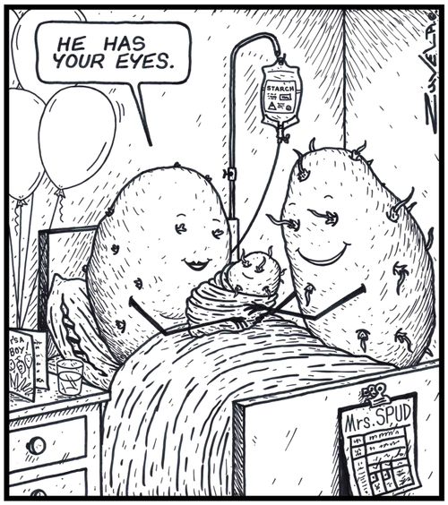 Mother Potato: 'He has your eyes.' 