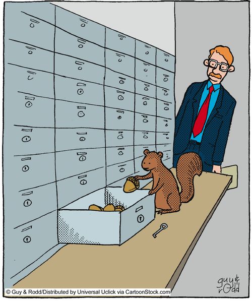 Squirrel putting nuts in a safe box.