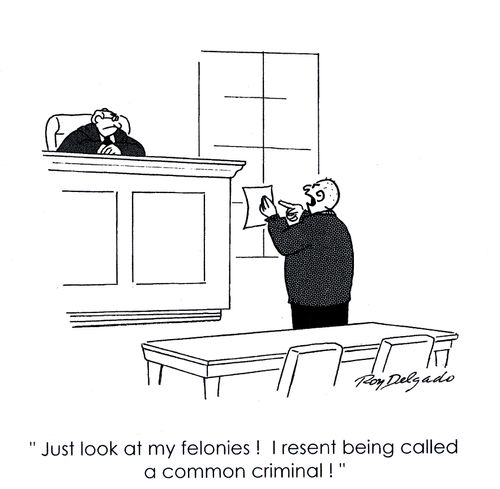 'Just look at my felonies! I resent being called a common criminal.'