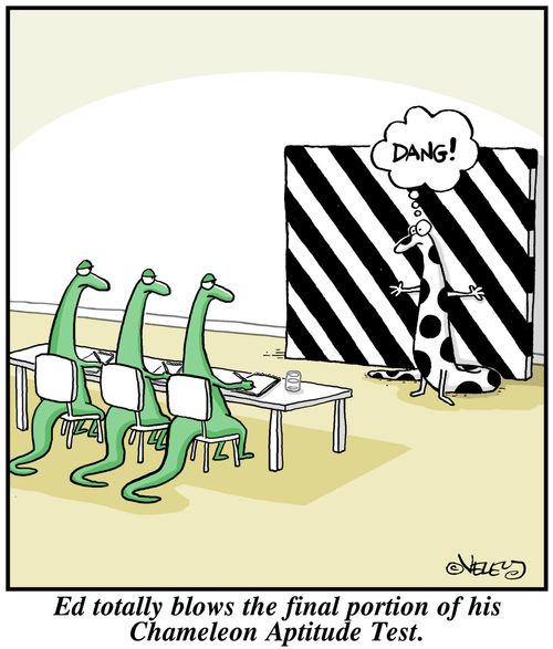 Ed totally blows the final portion of his Chameleon Aptitude test.