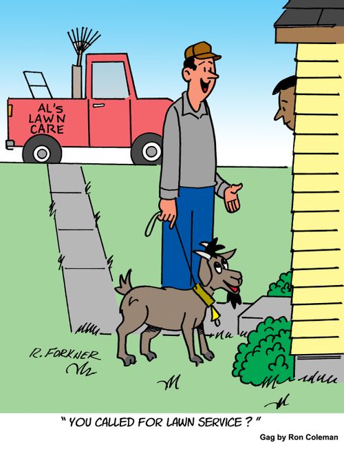 "You called for lawn service?"