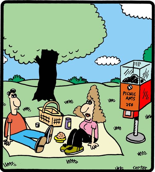 Picnic ants vending machine.