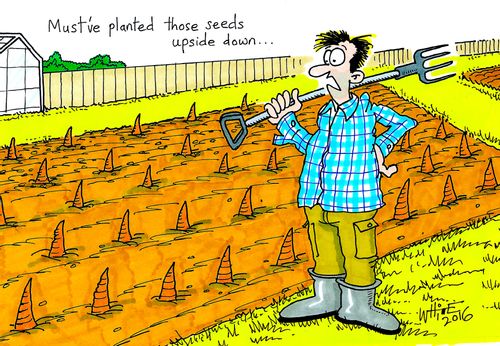 "Must've planted those seeds upside down..."