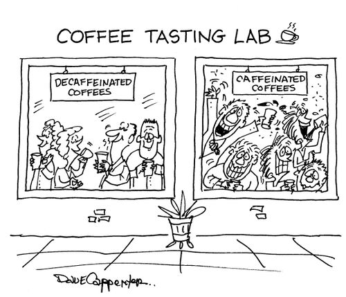 Coffee Tasting Lab