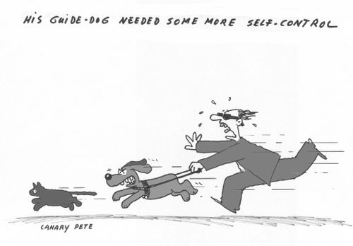 His guide-dog needed some more self-control