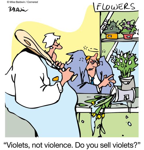 'Violets, not violence.  Do you sell violets?'