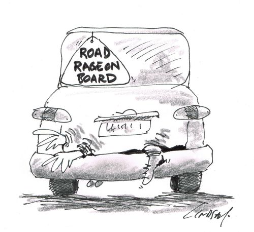 Road rage on board.