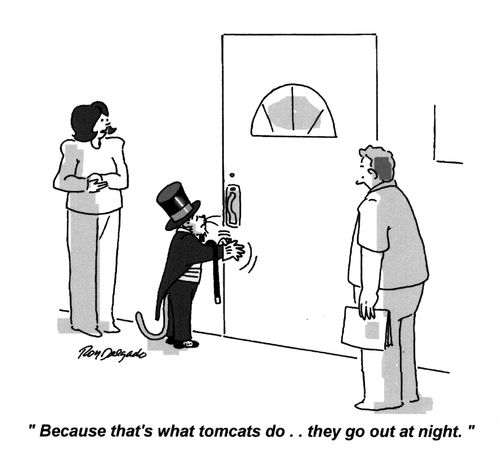'Because that's what tomcats do... they go out at night.'