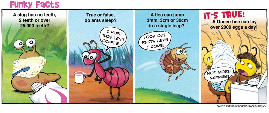 Funky Facts: A slug has no teeth, 2 teeth or over 25,000 teeth?