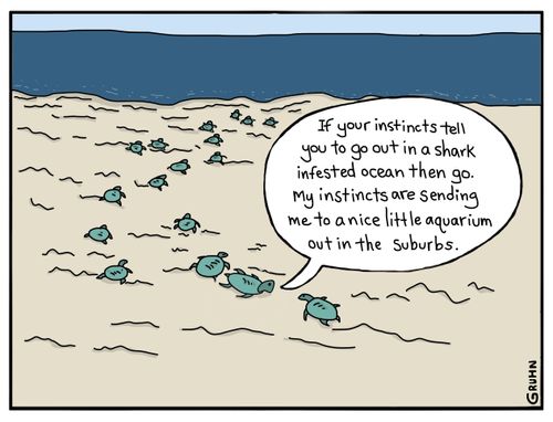 "If your instincts tell you to go out in a shark infested ocean then go. My instincts are sending me to a nice little aquarium out in the suburbs."
