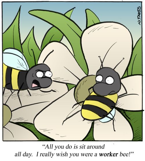 'All you do is sit around all day. I really wish you were a worker bee.'