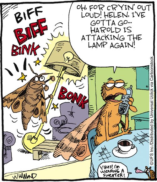 'Oh, for cryin' out loud! Helen, I've gotta go, Harold is attacking the lamp again.'