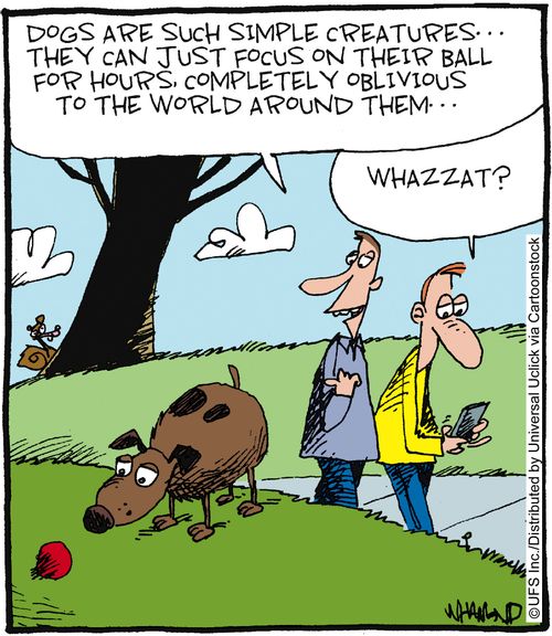 'Dogs are such simple creatures... they can just focus on their ball for hours, completely oblivious to the world around them...' 'Whazzat?'