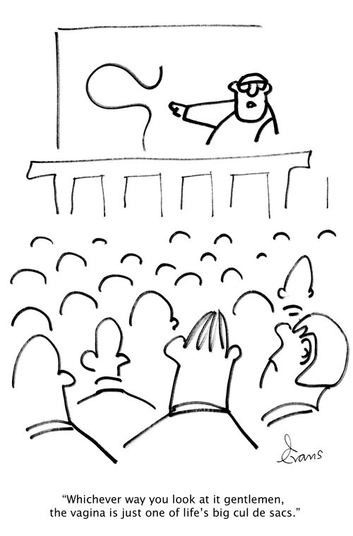 'Whichever way you look at it gentlemen, the vagina is just one of life's big cul de sacs.'