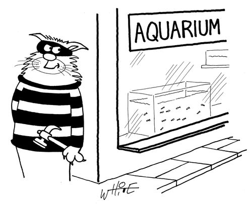 Cat planning aquarium break in...