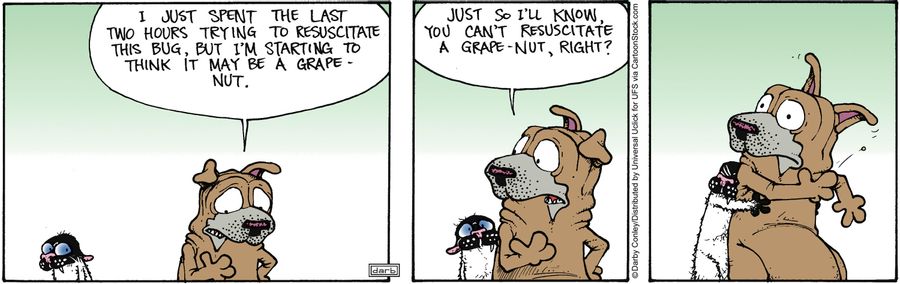 'Just so i'll know you can't resuscitate a grape-nut, right?'
