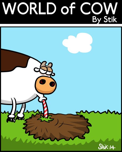 Cow's straw