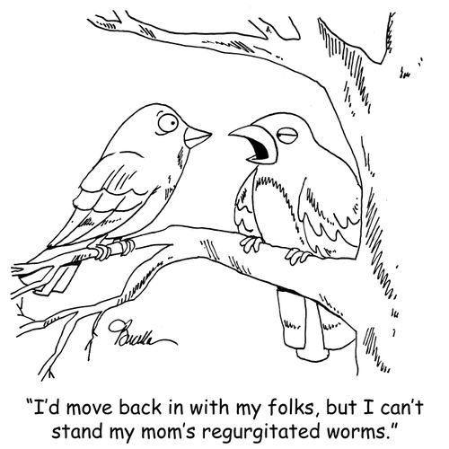 'I'd move back in with my folks, but I can't stand my mom's regurgitated worms.'