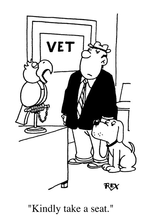 Vet's receptionist
