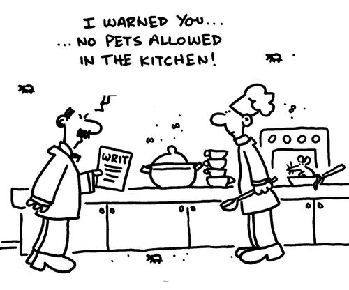 'I warned you, no pets allowed in the kitchen.'
