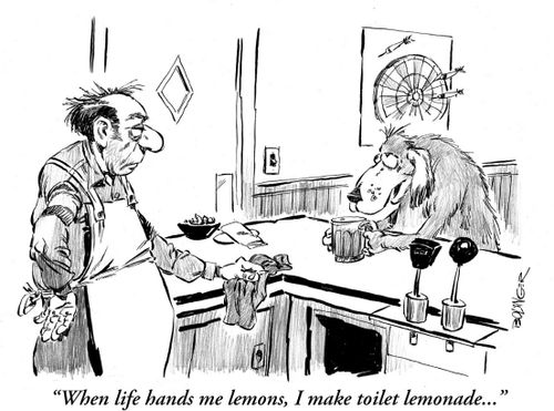'When life hands me lemons. I make toilet lemonade.'