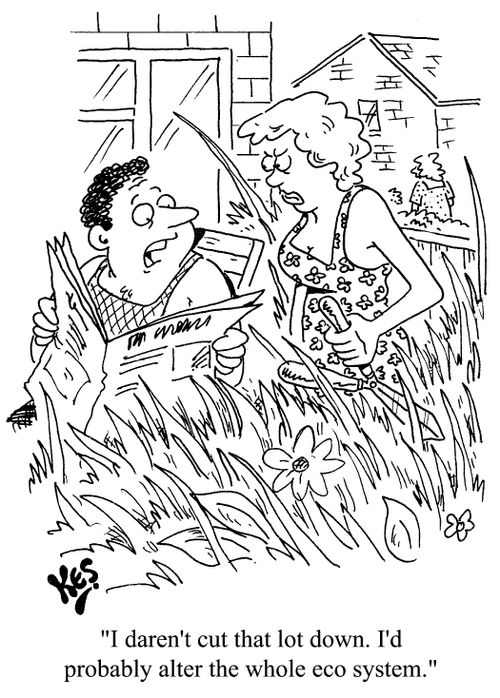 "I daren't cut that lot down. I'd probably alter the whole eco-system."