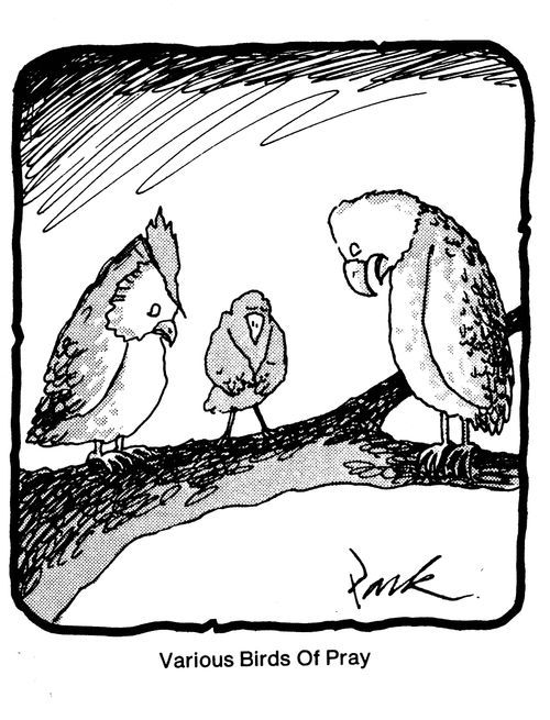 Various Birds of Pray.