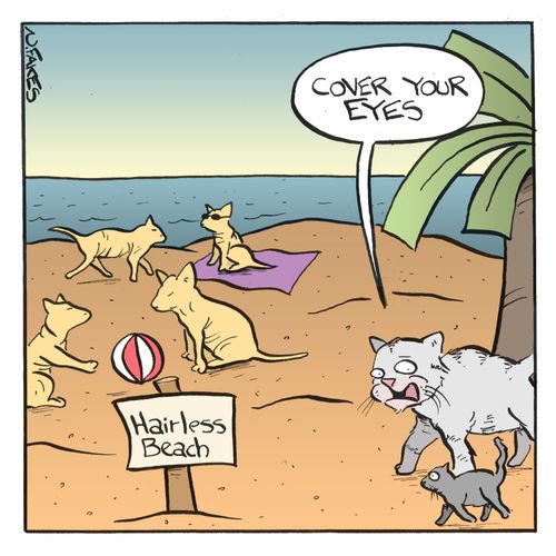 'Cover your eyes.'