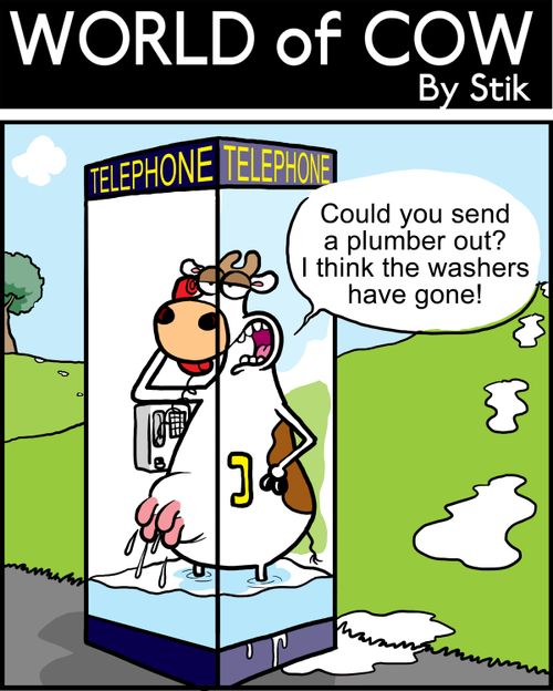 Could you send a plumber out? I think the washers have gone!