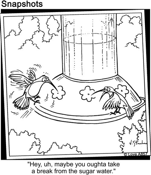 'Hey, uh, maybe you oughta take a break from the sugar water.'
