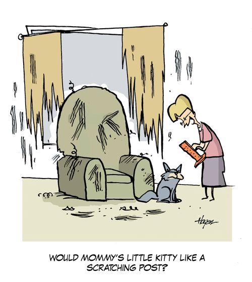 'Would Mommy's little kitty like a scratching post?'