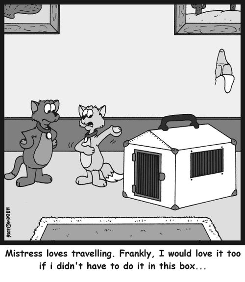 'Mistress loves travelling. Frankly, I would love it too if I didn't have to do it in this box...'